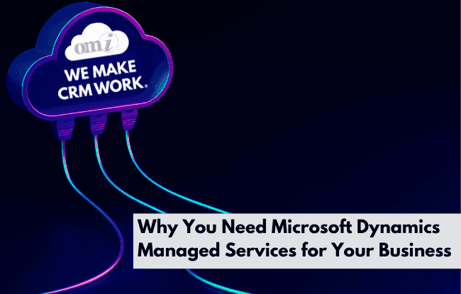 Why You Need Microsoft Dynamics Managed Services for Your Business