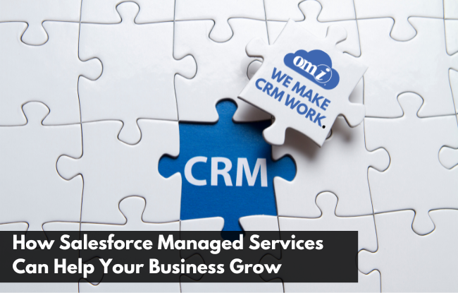 How-Salesforce-Managed-Services-Can-Help-Your-Business-Grow-by-OMI